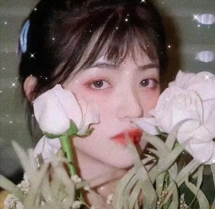月光县快车
