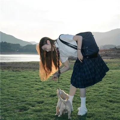 堪萨斯小猫